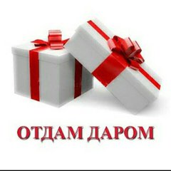 Отдам Даром Нижний Новгород 