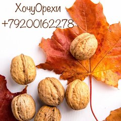 ХочуОрехи +79200162278 Нижний Новгород