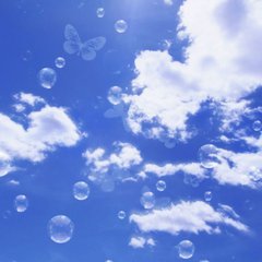 совместные покупки