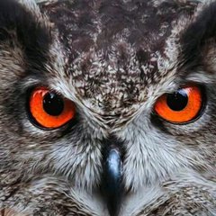 Аптека. Аналогов нет