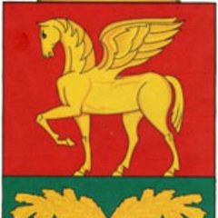 🇷🇺Сосновоборск♻️Районы🇷🇺