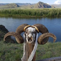 БАРАХОЛКА ТЫВА КЫЗЫЛ