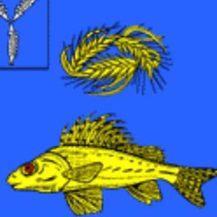 ЕРШОВ➕РАЙОН🐠САРАТОВСКАЯ ОБЛ