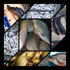 🐟🐟🐟KARASIKI72🐟🐟🐟 