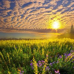 ДАРЫ ПРИРОДЫ