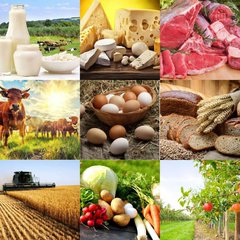 Сельхоз Ярмарка КАЛИНИНГРАДА