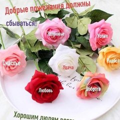 На все случаи жизни...