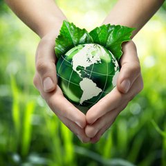 Интернет магазин турецких товаров 