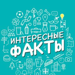 Интересные факты💡