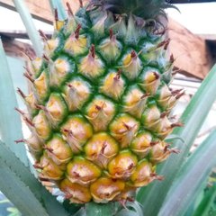 Экзотика Байкал