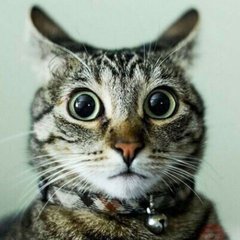 🤩шутки🤣 и мемы😆😂