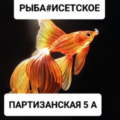 РЫБА # Исетское#Морепродукты#Икра