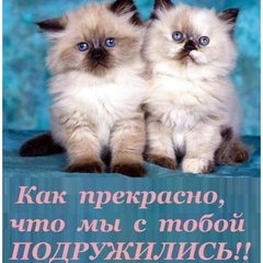 Дружба-Общения +35